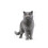 Royal Canin Feline Breed British Shorthair 400 g 4
