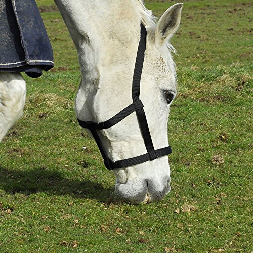 Field Safe Headcollar-Shetland-Black 1
