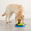 Nina Ottosson Lickin' Layers Interactive Dog Puzzle Game and Slow Feeder 6