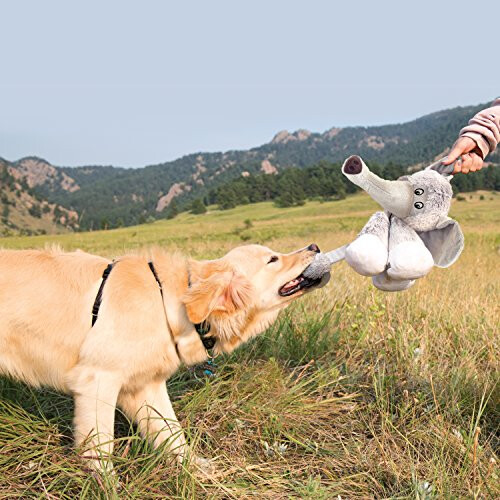 KONG Stretchezz Legz Bear Dog Toy, Large Multicolour 1