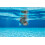 Arena Arena Cobra Ultra SwiP 7