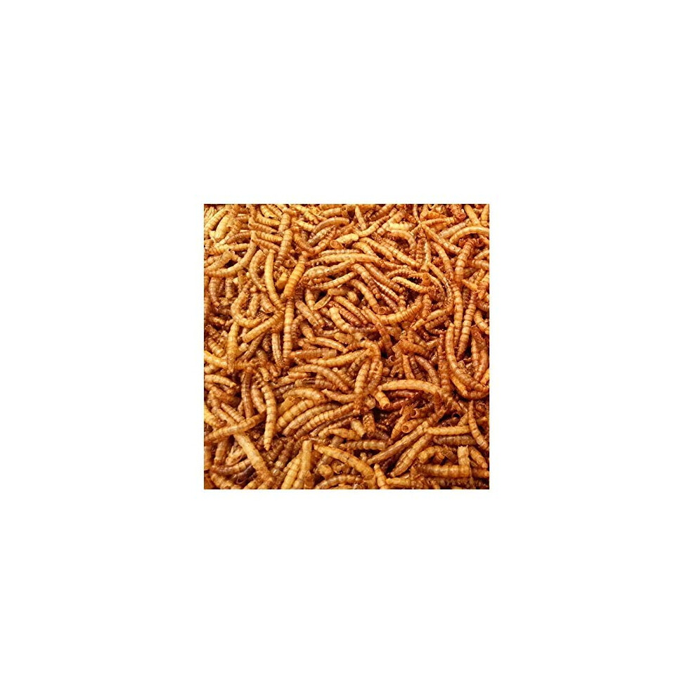 10kg Wheatsheaf Dried Mealworms for Wild Birds