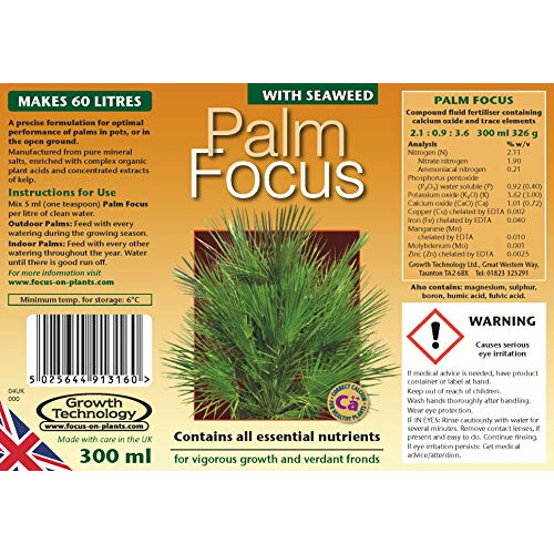 Ltd,Black Palm Focus 300 ml 1