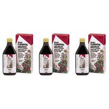(3 PACK) - Floradix - Floravital Yeast And Gluten Fr | 250ml | 3 PACK BUNDLE