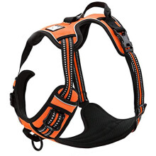 TrueLove Dog Harness TLH5651 No-pull Reflective Stitching Ensure Night Visibility, Outdoor Adventure Big Dog Harness Perfect Match Puppy Vest