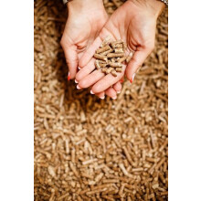 2 x 30L Wood Pellets Cat Litter, Ultra Absorbent, Biodegradable, Cat and Kitten, Superb Odour Control, Antibactrial, Catvenience Wood Pellet Cat