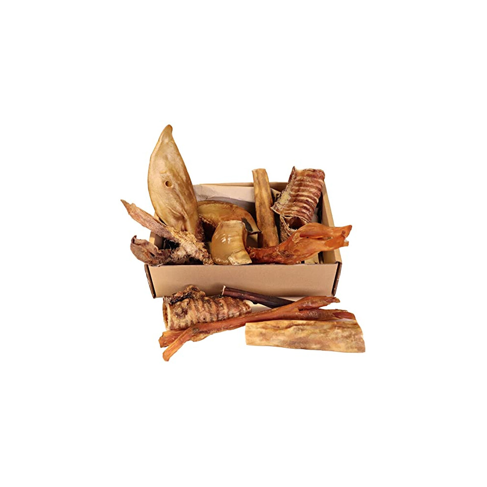 Pet Impact Reducing Environmental Pawprints Natural Dog Chews, Tasty Long Lasting Variety Box Of Doggy Chews, All Natural Treats - Chewy Yummy Chews For Adult Dogs (Cool Climate Chews, Large)