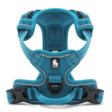 True Love Dog Harness, No-Pull Reflective Pet Harness with 2 Leash Clips Adjustable Soft Padded Dog Vest with Easy Control Handle for Small Medium