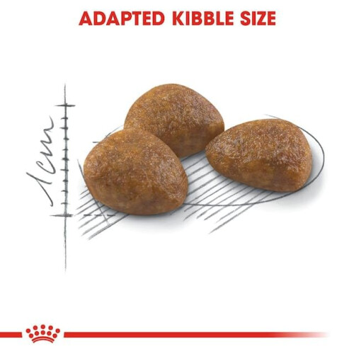Royal Canin Outdoor Cat Ageing 7+ Dry Mix 400 g 2