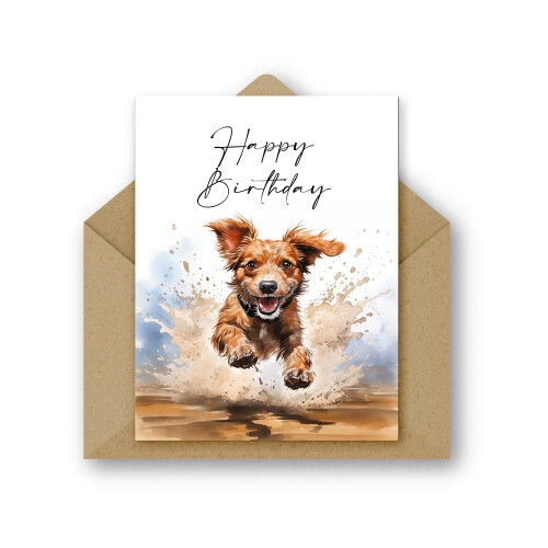 30 Different Bright and Fun Assorted Birthday Cards with Envelopes (Mixed Ages) 2
