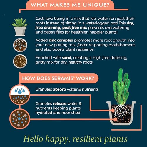 Westland Cacti Potting Mix 4L, Brown 2