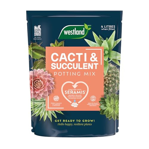 Westland Cacti Potting Mix 4L, Brown
