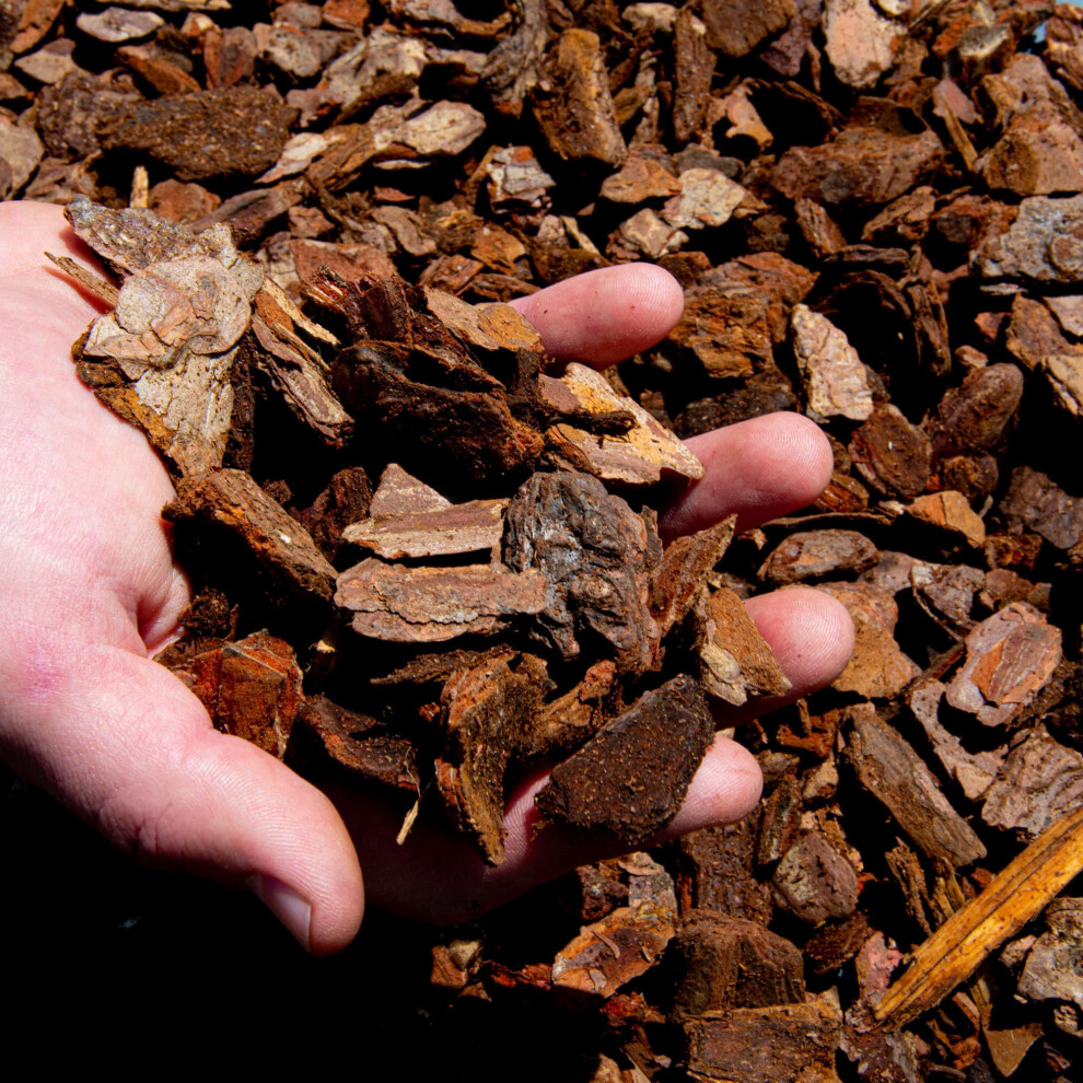 Bhomescent Premium Orchid Care Repotting Bark Soil Compost Mix (2L)