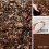 Premium Orchid Potting Mix Enriched With Nutrients (1L) 3