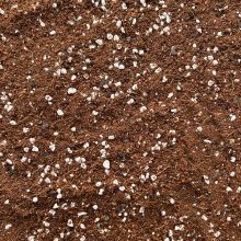 Terrarium Potting Mix with Perlite | Premium Blend for Vibrant Miniature Gardens | Lightweight and Well-Draining | Ideal for Succulents, Cacti, and