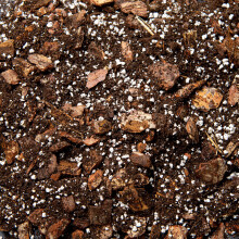 Premium Orchid Potting Mix Enriched With Nutrients (1L)