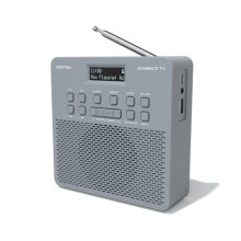 T4 DAB/DAB+ Digital FM Radio with Bluetooth, Rechargeable Battery and Mains Power Radio with USB Mobile Charging (Grey)