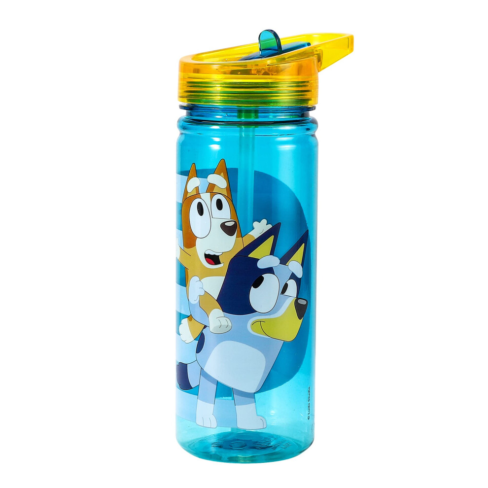 Bluey 580ml Water Bottle for Kids School Drinks Bottle Made of Durable Tritan Reusable BPA Free-image-OPC-PDT9GRG-NEW