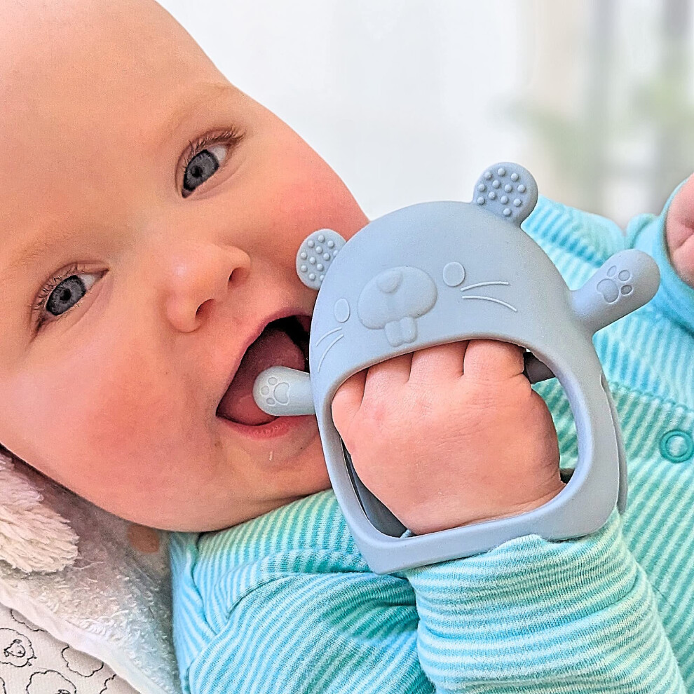 Teething Toys For Baby - Baby Teether, New Infant Silicone Chipmunk Teether Mitten Baby Teething Glove Prevents Finger Sucking, Teethers For Infatot