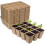 20Pcs Seedling Pots, 12 Grids 4cm Square Plant Seedling Pots Biodegradable Fibre Transplanting Pots for Plants Fruits Vegetables (16 x 12cm) 1