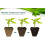 20Pcs Seedling Pots, 12 Grids 4cm Square Plant Seedling Pots Biodegradable Fibre Transplanting Pots for Plants Fruits Vegetables (16 x 12cm) 4