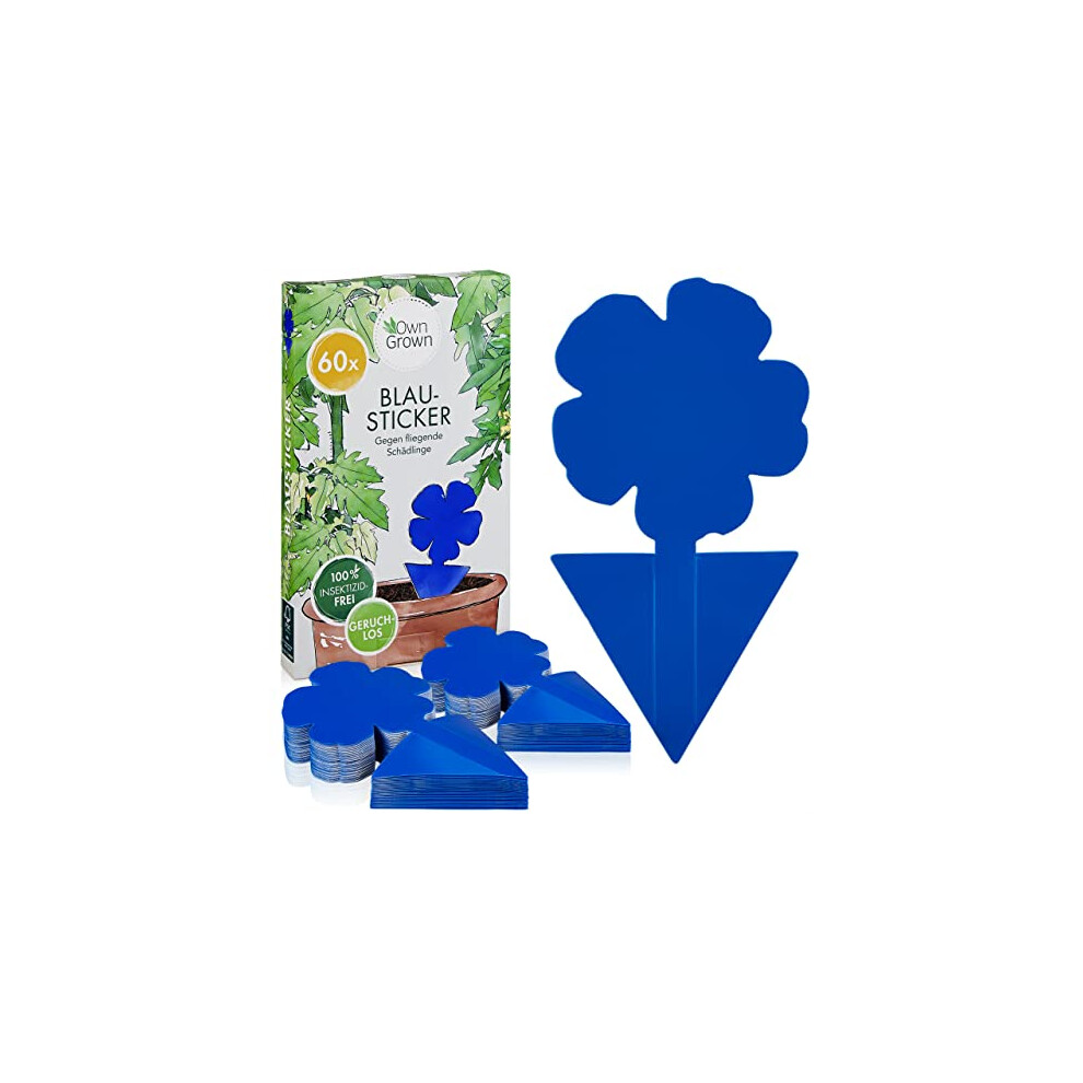 Blue Sticky Traps for Thrips: 60x Sticky Fly Trap for House Plants – Sticky Fly Traps – Fungus Gnat Killer – Thrips Killer – Fruit Fly Trap