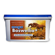 MEGA BOSWELLIA + Promotes Healthy Joints with Natural Pain Relievers and Anti-Inflammatories - an Effective, Powerful Alternative to Bute (1.8 Kg)