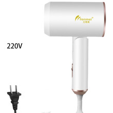 (500W) Hair Dryer White Small Power Fashionable Foldable Household 5008001200w 220v