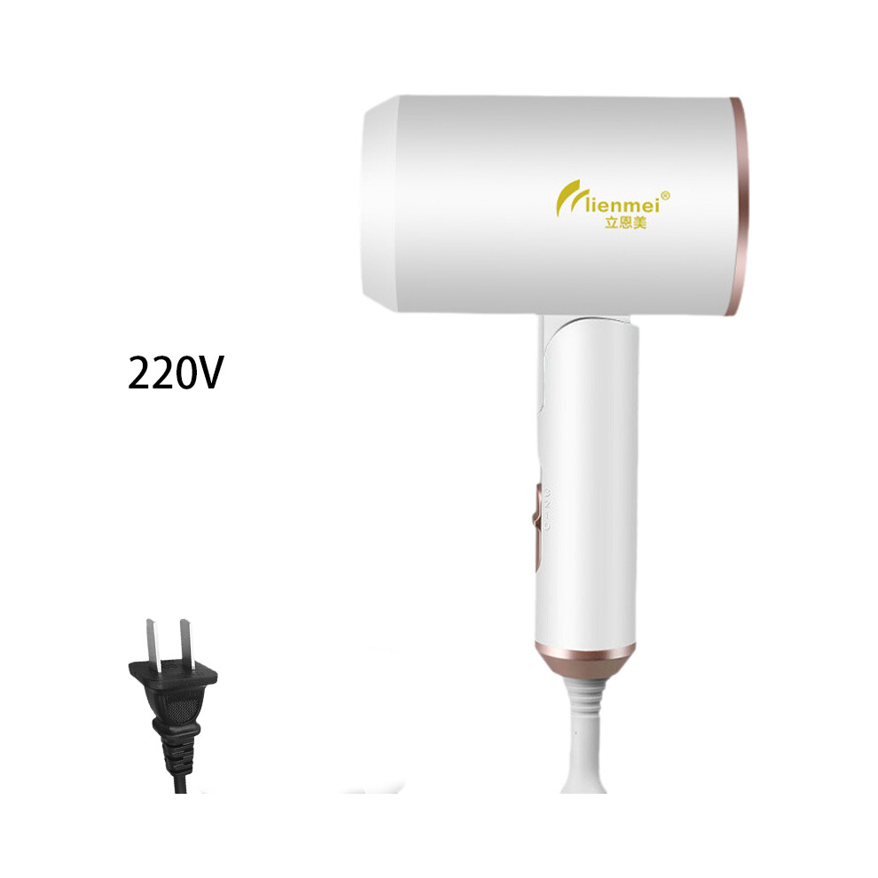 (500W) Hair Dryer White Small Power Fashionable Foldable Household 5008001200w 220v