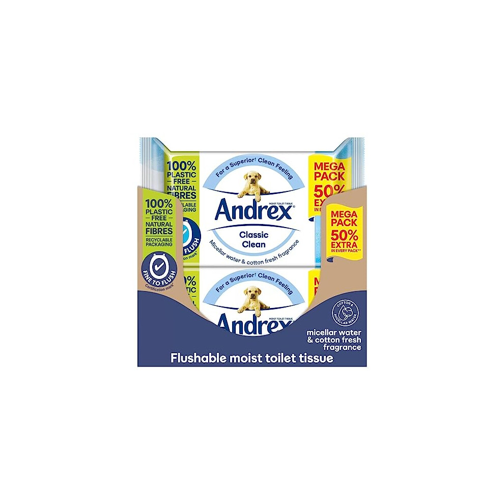 Andrex Classic Clean Washlets (10)