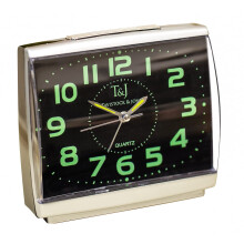 Easylife Set of 2 Easy-to-Read Silent Glow-in-the-Dark Alarm Clocks, Silent Alarm Clock, Glow Clock, Extra Large Number Alarm Clock - Fully Guaranteed