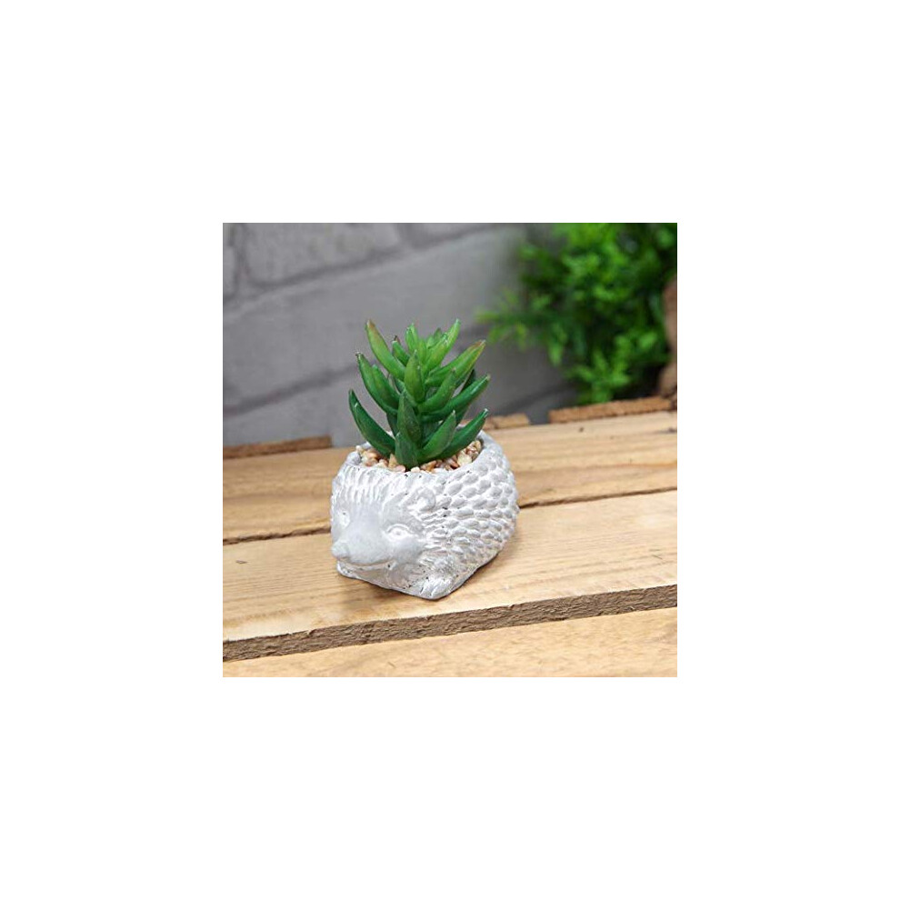 Widdop And Co. Widdop Cement Effect Hedgehog Planter With Succulent