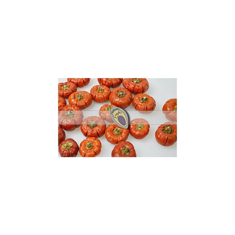 25 Mini Pumpkins