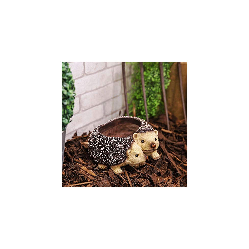 Naturecraft Twin Hedgehog Planter Plant Pot Garden Ornament