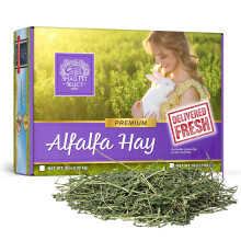 SMALL PET SELECT Alfalfa Hay - 10lb (4.54kg)