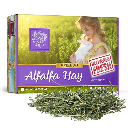 SMALL PET SELECT Alfalfa Hay - 10lb (4.54kg) 1