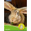 Ancol Ancol Ergo Animal Slicker Brush, Grey/yellow, Small 3