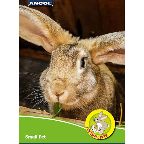 Ancol Ancol Ergo Animal Slicker Brush, Grey/yellow, Small 2