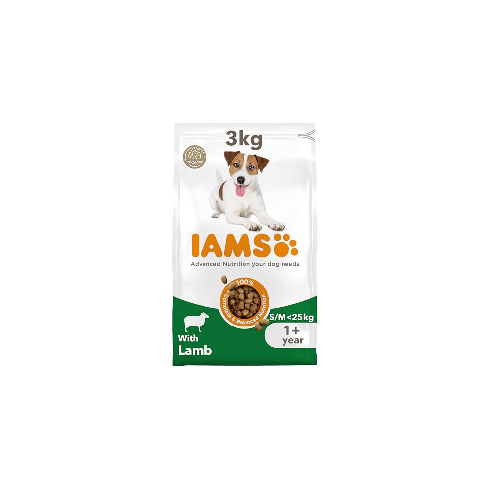 IAMS Complete Dry Dog Food for Adult 1+ Small and Medium Breeds with Lamb 3 kg