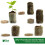 Elixir Garden Supplies (45mm, 300) Elixir Gardens Coir Pellets 1