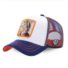 (14) Anime Dragon Ball Baseball Cap Shenlong Goku Vegeta Boys