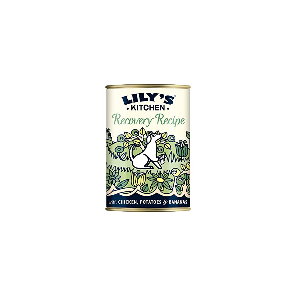 Lily's Kitchen Adult Recovery Recipe Wet Dog Food (6 x 400 g)