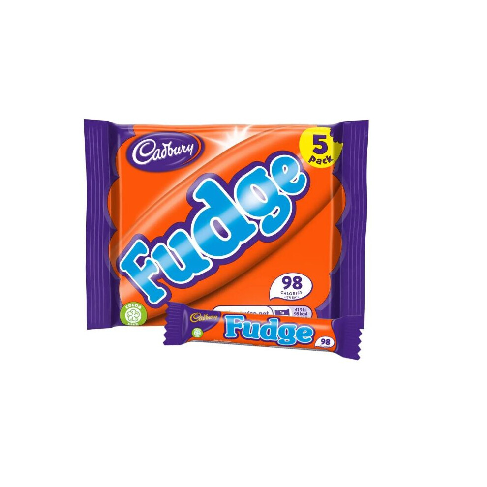 Cadbury Fudge Bar, 22g X5 (Pack of 4)