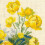 Riolis Cross Stitch Kit - 1515 - Globe Flower 4