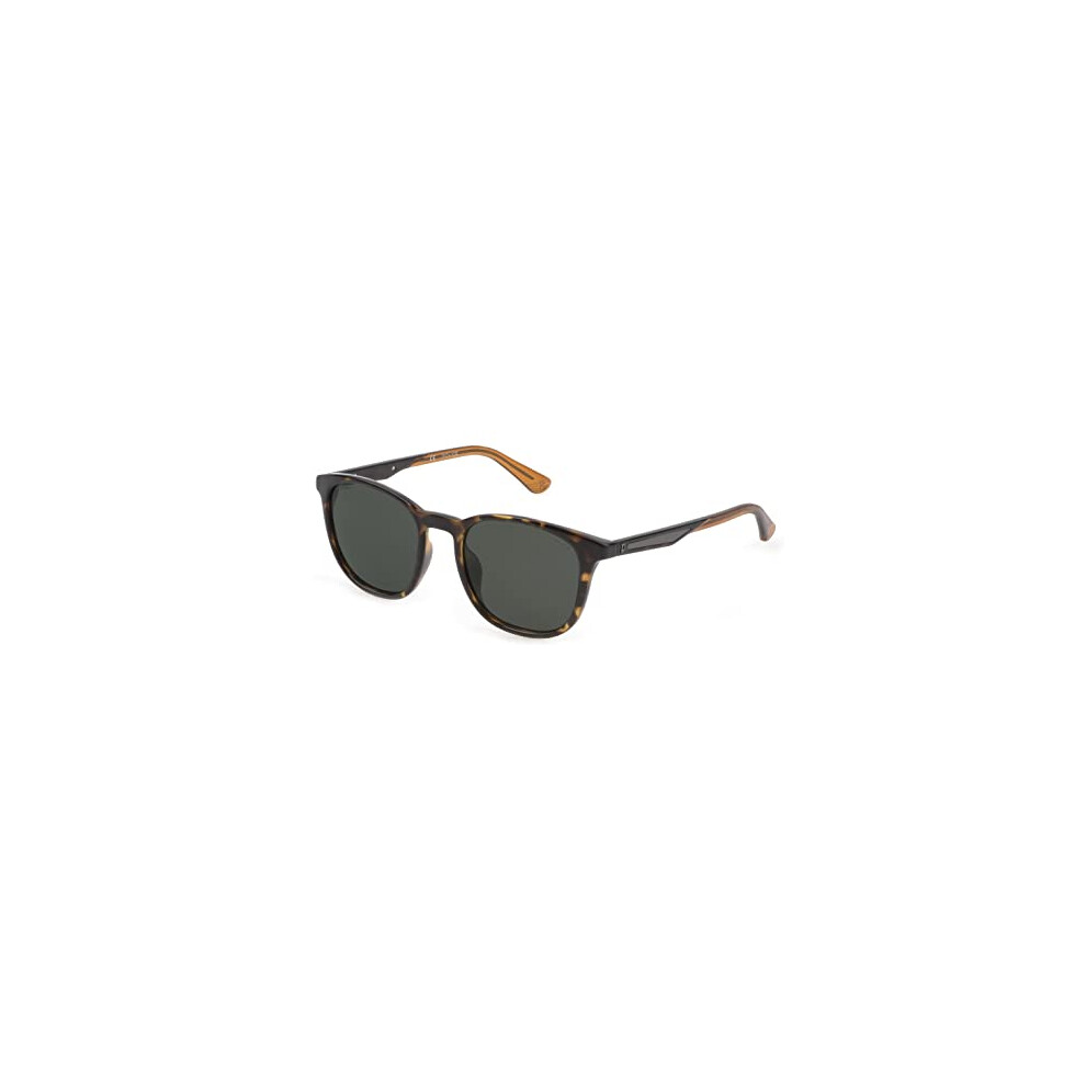 Police Splf18e Sunglasses, Avana Scura Lucida, 53