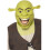 Shrek Latex Mask, One Size 1