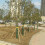 (Inner Diameter 3.8cm) Plant Frame Large Tree Growing Support Stakes Tripod Plastic Cups Garden Tool 4