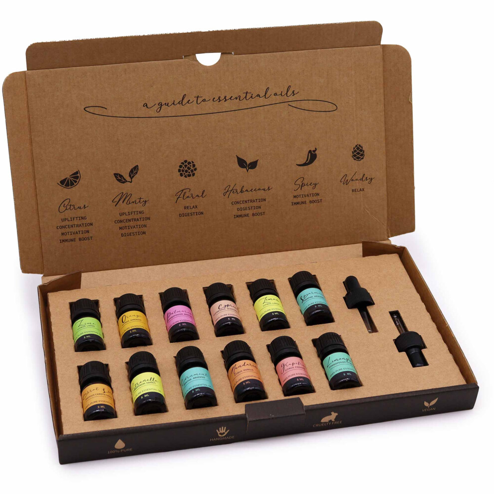 B&Q -  Luxury Aromatherapy Essential Oil Set12 X 5Ml Summer CollectionVegan-FriendlyGift Boxed - Image 5