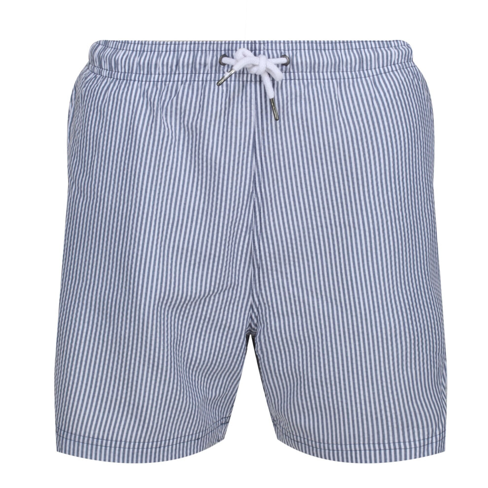 (S, Dark Denim) Regatta Mens Loras Stripe Swim Shorts