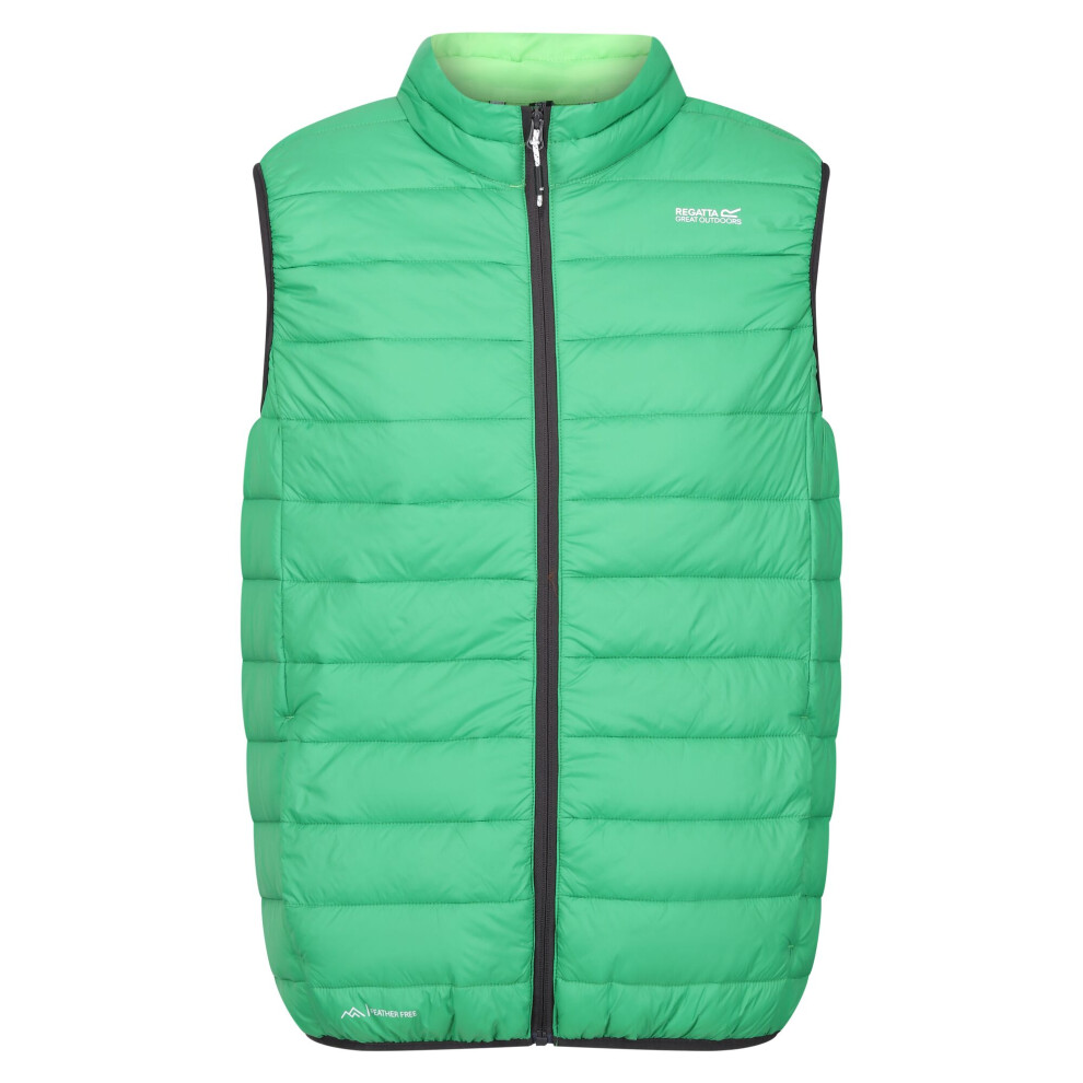 (S, Field Green/Jasmine Green) Regatta Mens Marizion Quilted Gilet